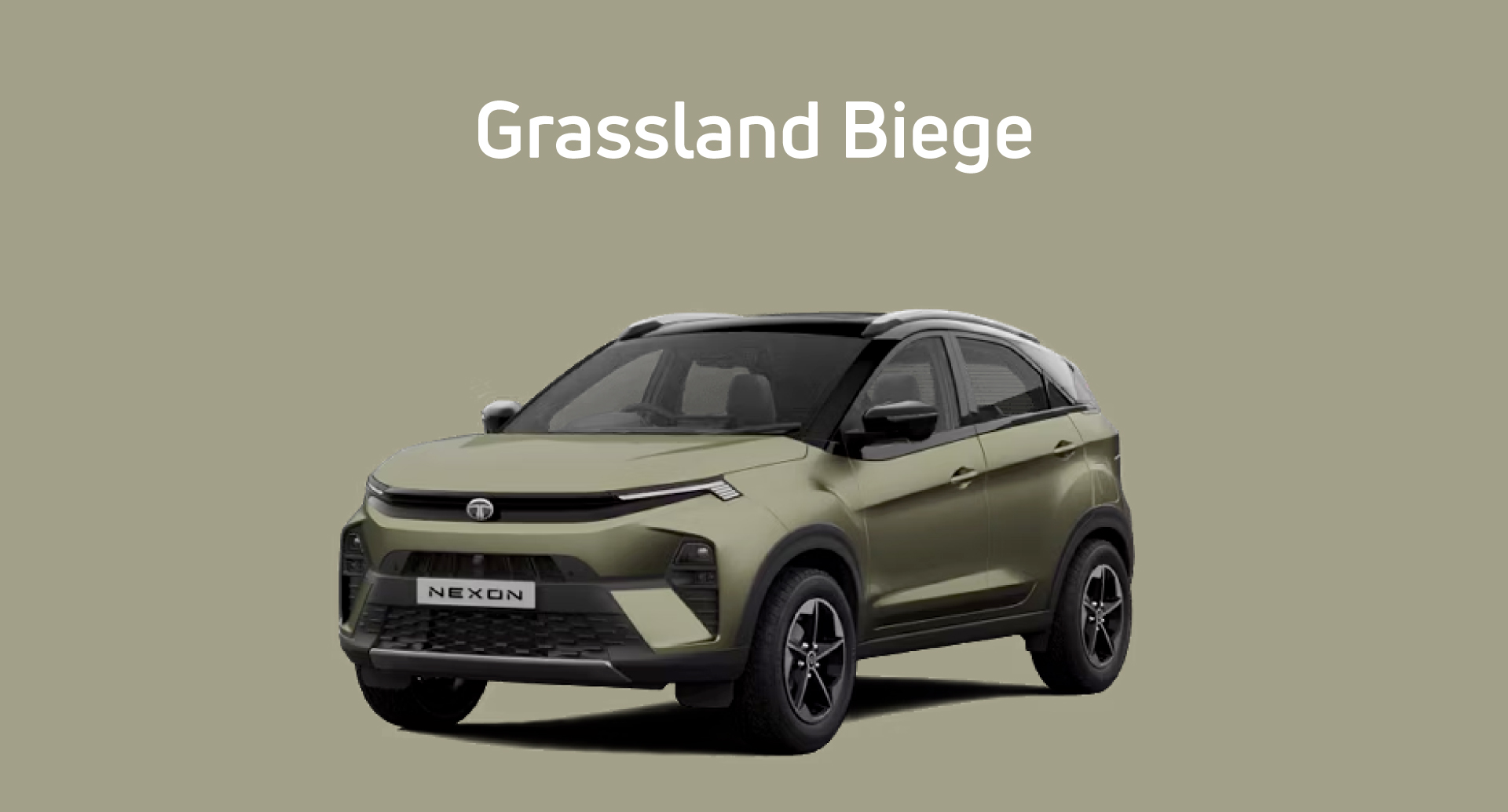 Tata Nexon Daytona Grey Color