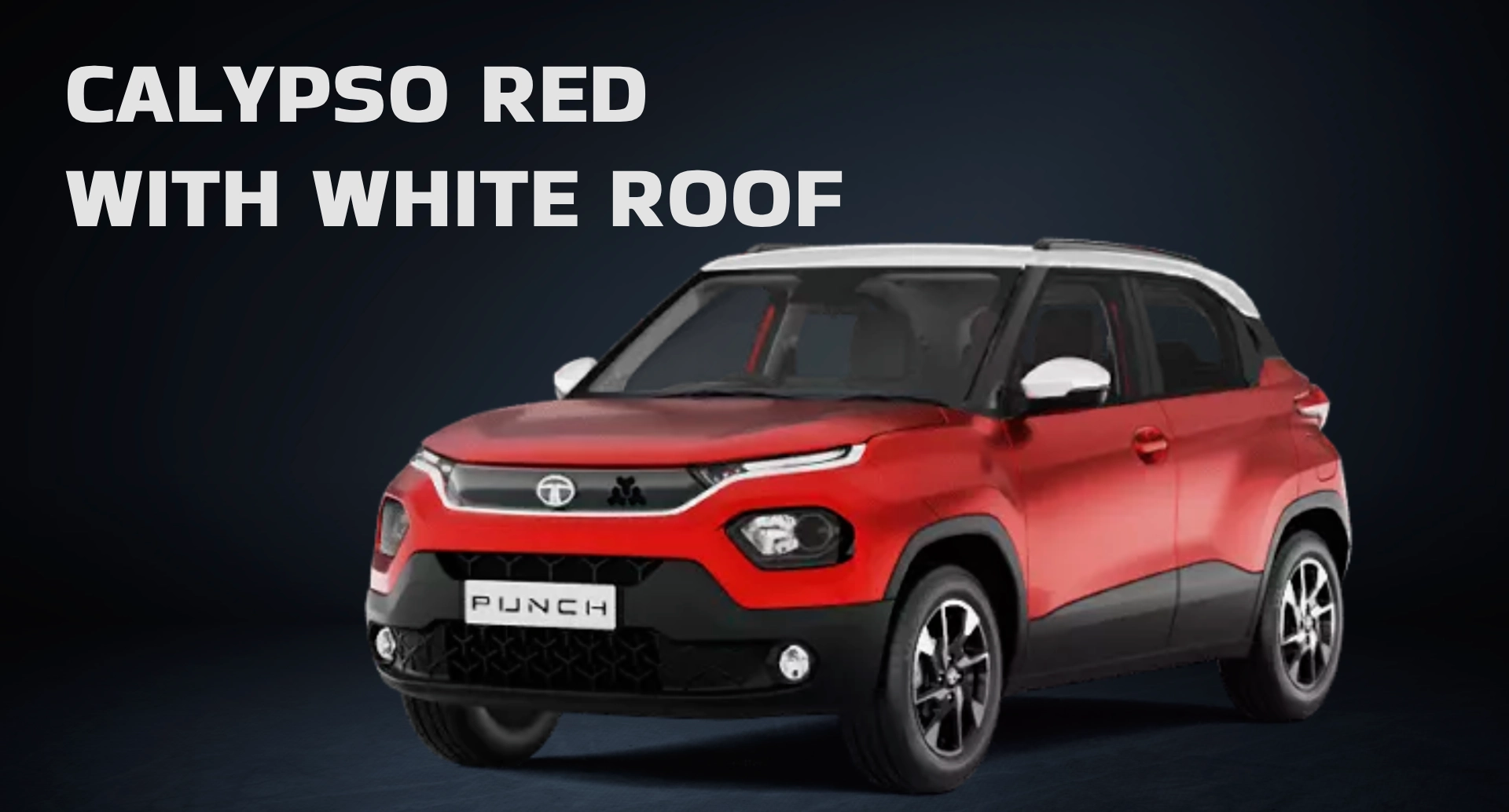 Calypso Red Tata Punch 