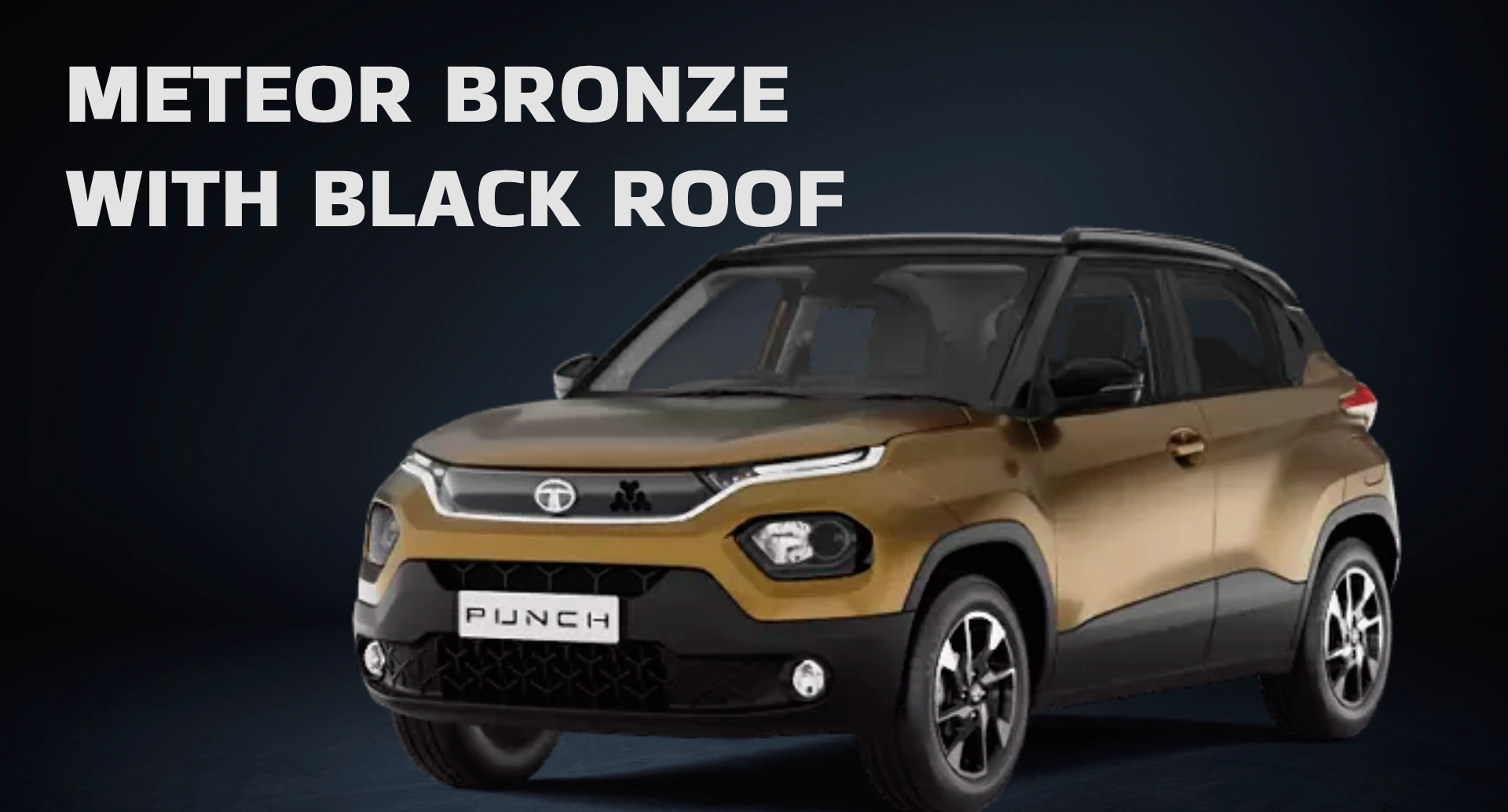 Meteor Bronze Tata Punch 